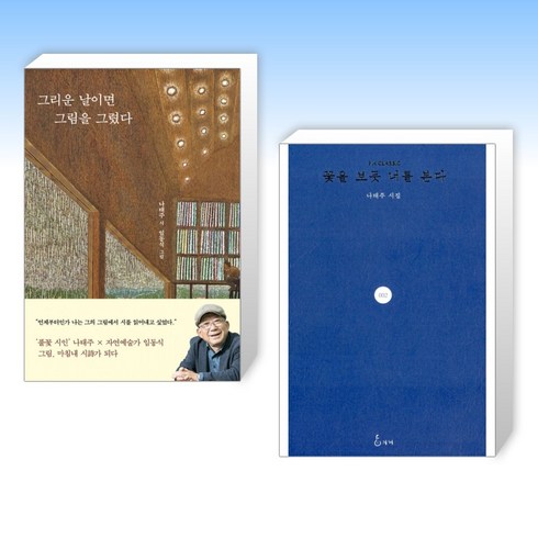 (나태주 신간 세트) 그리운 날이면 그림을 그렸다 + 꽃을 보듯 너를 본다 (전2권)