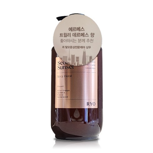 려2013본 - 려 자양윤모 탈모전문증상케어 샴푸 서울석양, 585ml, 1개