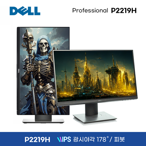 다다컴퓨터 HP DELL 델 22인치 23인치 24인치 중고 모니터 사무용 듀얼 피봇 HDMI 듀얼모니터 서브모니터, 2. 델(Dell) 22인치P2219H IPS