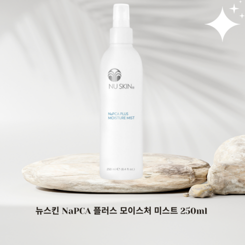 뉴스킨 NaPCA 모이스처 미스트, 2개, 250ml