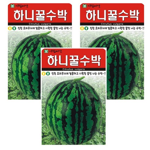 thewatermelonseed - 하니 꿀 수박 씨앗 3개입, 3개