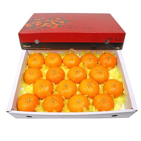 삼다몰 [삼다몰]제주 레드향(왕특대) 5kg(10~16과), 단품없음