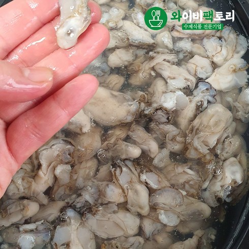 고흥 자연산 생굴(잔굴) 1kg, 1봉