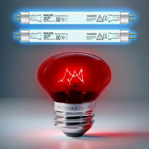 유팡램프 - 필립스 유팡 젖병소독기 교체용 자외선 램프 2개 + 전구 1개 세트 [저녁 8시 주문건 내일도착], [필립스 정품] 유팡 교체용 램프 2개 + 전구