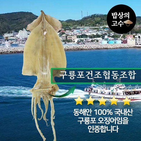 울릉도독도 포항출발 대형크루즈 3박4일 449천원부터 - 구룡포 마른오징어 동해안 오징어 국내산 울릉도 독도 5마리 500g, 1개