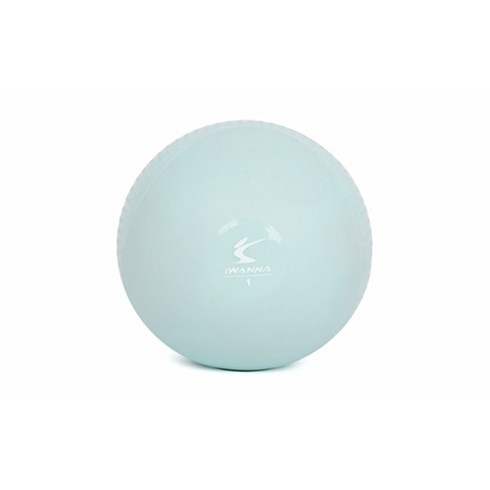 볼링웨이트볼 - 아이워너 소프트 토닝볼 1kg 2개입 웨이트볼 메디신볼, 없음