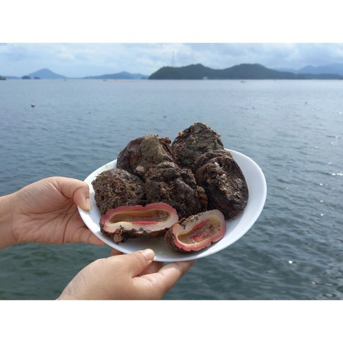 자연산 통영 돌멍게 1kg, 1개