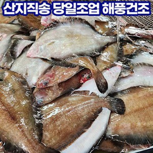 국내산 손질 반건조 가자미 (10~12마리 내외), 10개, 1.3kg