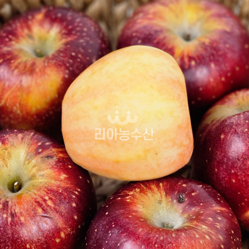 [산지직송]리아마켓 프리미엄 고당도 엔부사과 애플피치 수확 배송, 1kg(3~4입), 1개