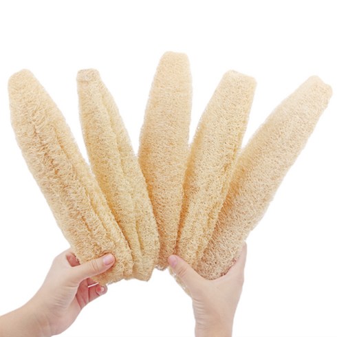2023년 가성비 최고 천연수세미 - 5개 세트 25cm 천연 루파 수세미 주방 설거지 잘라쓰는 진짜 자연 식물 R99571A, 1개입