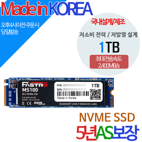 Fastro NVMe SSD, MS100, 1TB