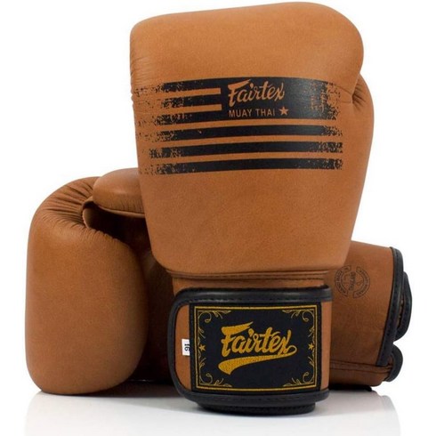 Fairtex 페어텍스 BGV21 레거시 복싱 글러브, 8온스