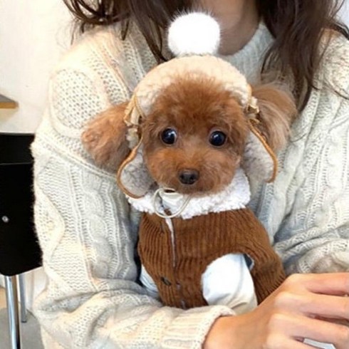 강아지 군밤장수모자 고양이 털방울모자 귀달이모자 방한모자