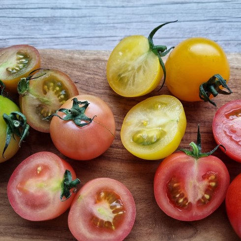 오색 칵테일 토마토 5kg - 전북 김제 칵테일 컬러 토마토 건달마토 토망고 오색빛깔 고당도 토마토 3kg, 4색 칵테일 토마토 2kg, 1개