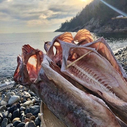 자연해풍 거제도 반건조대구 1마리 건대구, 1.통마리, 3.특대-80cm이상, 1개