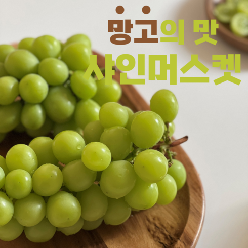 과일소나무 망고맛포도 당도보장 특품프리미엄 샤인머스켓, 1개, 프리미엄 2kg(3~4수)