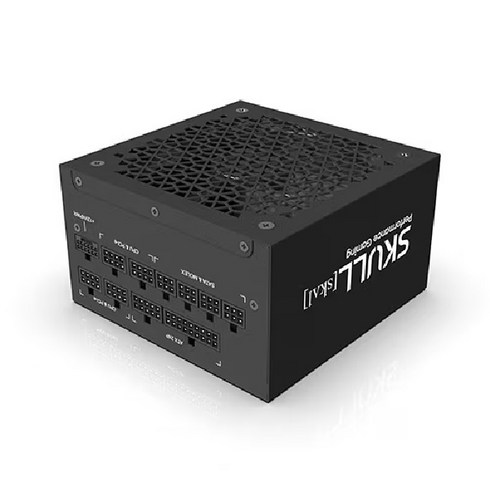 [NEWZEN] SKULL 1000XM ATX 3.0 80PLUS GOLD PCIE5 (ATX/1000W)