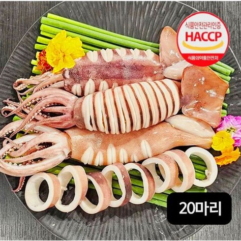 자연산 손질 통오징어 총 20마리 260g(2마리)X10팩, 260g(2마리), 10개