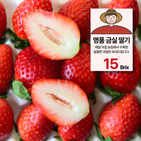 논산 GAP 금실 딸기 농장직송, 1개, 850g(특)