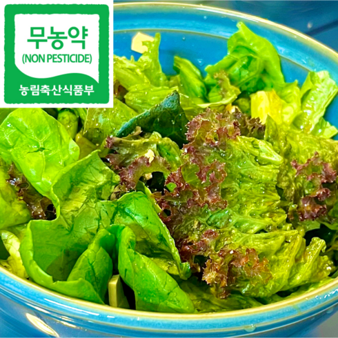 아쿠아포닉스 - 무농약 아쿠아포닉스 유러피안 샐러드 채소, 무농약 유러피안 모듬 1kg, 1개