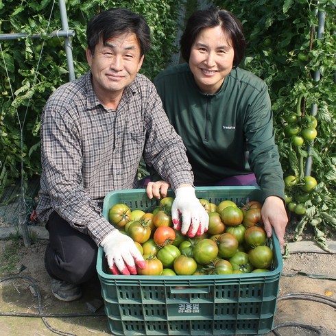 맛딜 부산대저 권영욱 생산자님 대저토마토 2.5kg, 2.5kg(S-2S), 1개