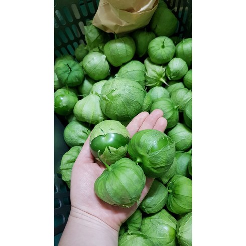 디미토 - 국내산 토마티요 토마틸로 또마띠요 Tomatillo 살사베르데 1kg [원산지: 국산(경기도 김포시)], 1개