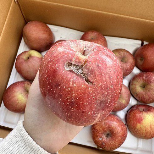 못생겼지만 맛좋은 부사 사과 흠집 가정용 못난이 2kg 3kg 5kg, 1개, 못난이부사 2kg(10~13과)