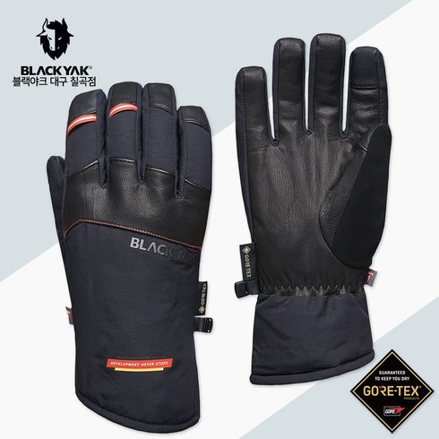 블랙야크 공용 겨울 고어텍스 패딩 방한 장갑 DNS액티브 글러브 2BYGVF3907 보온 방수 등산 캠핑 스포츠 스마트폰 터치, 블랙, 1개