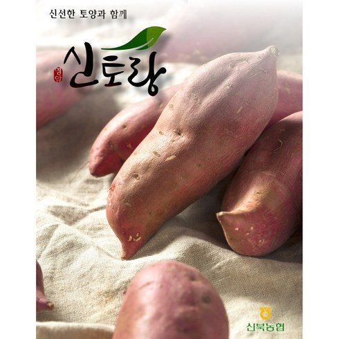 [신북농협] 신토랑 23년 영암 황토 세척 꿀고구마 3kg, 긴상, 1개