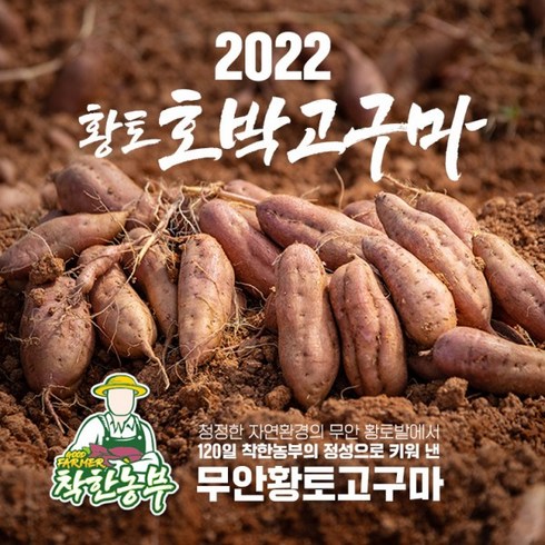 무안황토호박고구마 [120일정성]2022년 무안 황토 호박고구마 3.5kg*2박스 / 총7kg_정대, 1