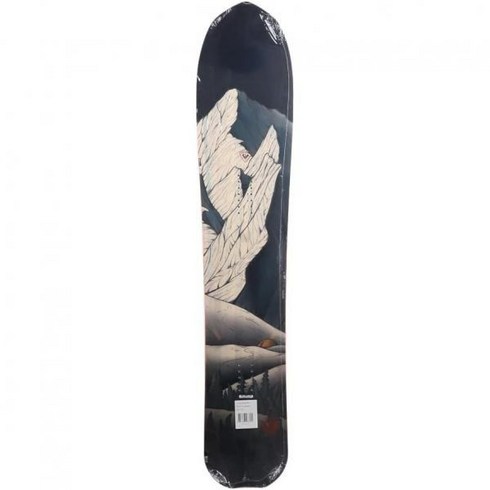 2023년 가성비 최고 로시뇰 - 로시뇰 XV회 스노보드 남성 SZ 160cm 263352, 160