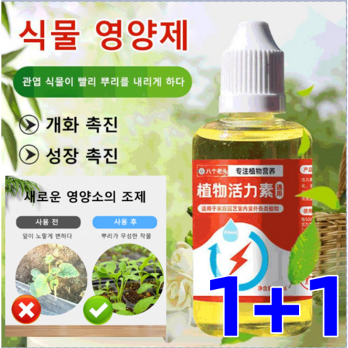 1+1식물 생장 활력소[농축 신선수] 화초 식물영양제 식물영양제앰플 50ml, 50ml*2