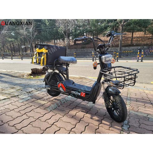 알엠티 배달용 이륜 전동스쿠터 전동오토바이 당일배송 KC인증 할인행사3일, 부품  배달용 탈착 가능 배터리, 1개