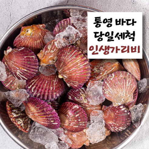 2024년 가성비 최고 맛조개 철 - 홍 가리비 고압브러쉬 세척 통영직배송, 1개, 2kg