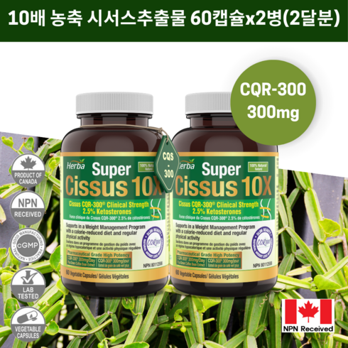 시서스 60비건캡슐 CQR-300 시서스추출물 캐나다 식약처인증 허바캐나다, 60정, 2개
