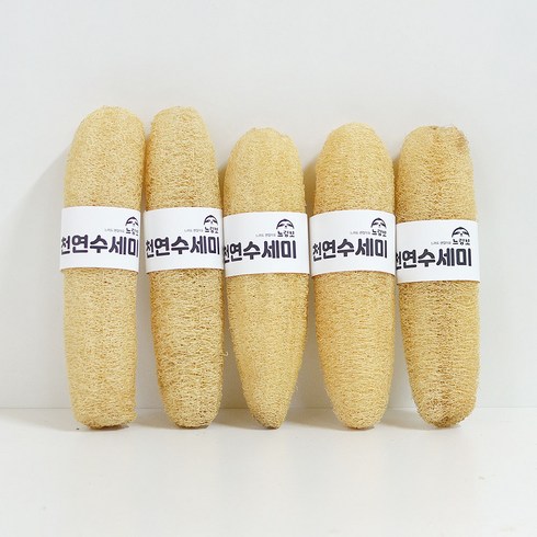 2023년 가성비 최고 천연수세미 - 장수 통통한 수세미 일반, 1개입, 4개