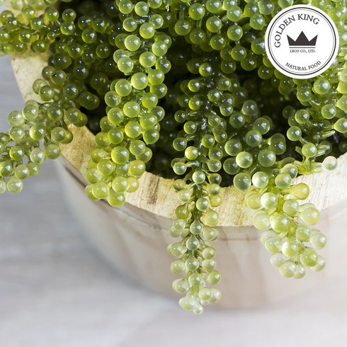 골든킹 프리미엄 바다포도 우미부도 SEA GRAPES 100g ASMR, 50g, 2개