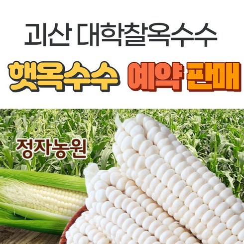 괴산대학 찰옥수수 30개 - 가을 생물옥수수 괴산대학찰옥수수 산지농부직송 생물옥수수, 30개