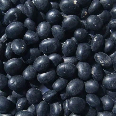 국산 서리태2kg 2023년산 토종재래종서리태, 국산 서리태2kg 2023년산 토종,재래종서리태