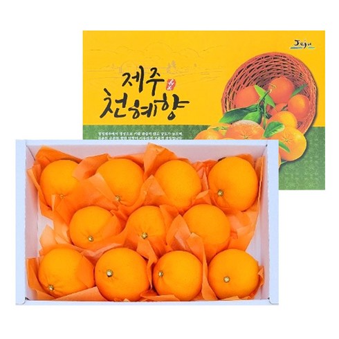 15brix 고당도 산지직송 천혜향 선물세트, 1개, 선물용 3kg(특상)