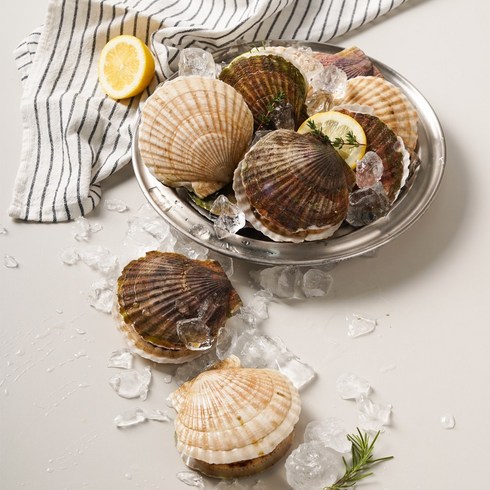 국산 수입산 대왕 참가리비 1kg 왕 큰 참가리비 산지직송, 특대(8~10미), 1개