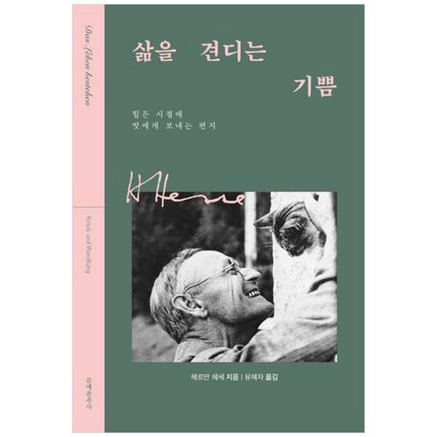 삶을 견디는 기쁨:힘든 시절에 벗에게 보내는 편지, 헤르만 헤세, 문예춘추사