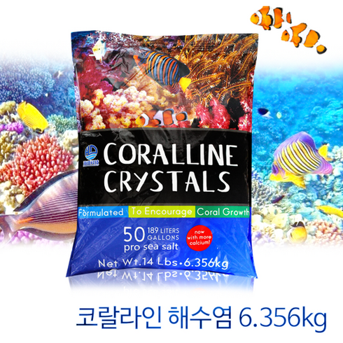 해수어 - 해수염 코랄라인 해수어 니모 블루탱 바다물고기 해수어 키우기 6.356KG, 해수염 6.356KG, 1개