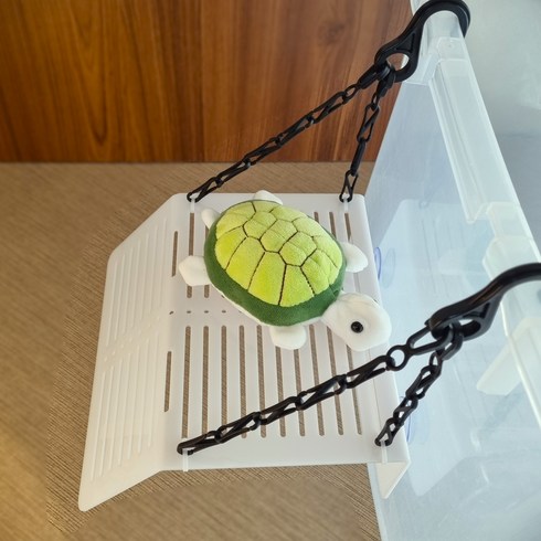 꼬북랜드 거북이 화이트육지 (사이즈연장가능)