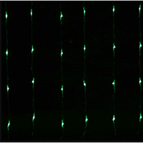 2023년 가성비 최고 폭포수전구 - 겸용LED 폭포수280구 연결용전구 (220V콘센트형) 장식, 블루(C타입)
