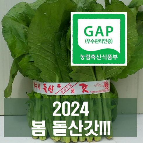 류가네 여수 돌산갓 5kg(무료배송) GAP 인증, 1박스, 5kg