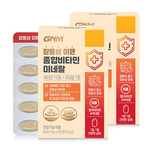 [박스당 2개월분] GNM 장용성 이뮨 종합비타민 미네랄 / 멀티비타민 비타민A B C D E, 2박스, 60정