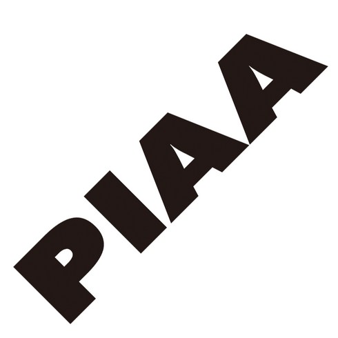 PIAA 피아 데칼 차량용 튜닝 스티커, 대, 1장, 골드