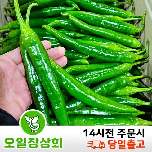 고추 - ( 오 일 장 상 회 ) 국내산 오이고추 아삭이고추 오이맛고추 <특등급> 1kg 2kg 10kg, 1개, 1kg내외” class=”product-image”></a></p>
<div class=