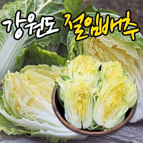 강원도절임배추 - 우리존 강원도영월 고랭지 절임배추 20kg(8-10포기)국내산천일염사용 맛있는김치, 20kg, 10월31일출고11월1일수령